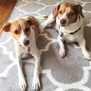 Meet your Posher, Judith